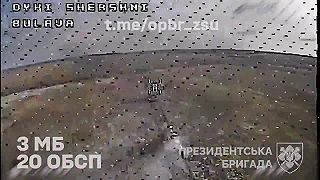 Anihilácia útok na osadu Bolshaya Novoselka