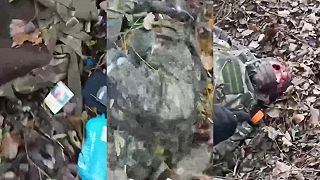 Zlikvidovani rusku okupanti-Následky neúspešného útoku orkov v Kursku 18+