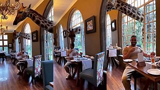 Hotel Giraffe Manor v Keni