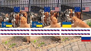 Ako vysvetliť deťom konflikt na Donbase