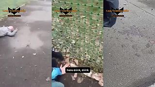 Ukrajinský terorizmus 2.