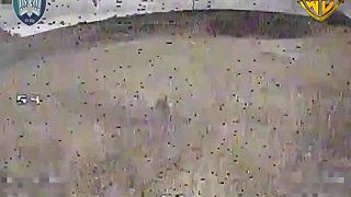 WORMBUSTERS denacifikujú okupantov