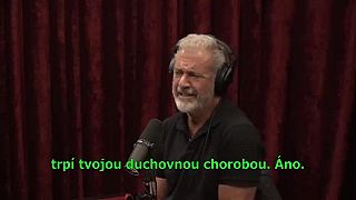 Mel Gibson interview with joe rogan experience 2025