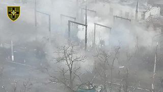 Invázny druh preškolil tank