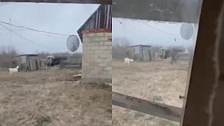 Armáda zlodejov okráda Rusov