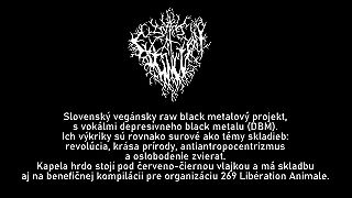 Shades of Extinction - Slaughterhouse (raw black metal)
