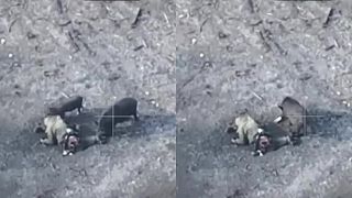 Tri prasiatka a Rus