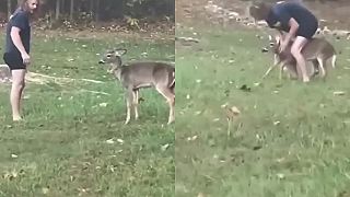 S Bambi nie sú žiadne žarty, keď je nasratá, tak aj zaútočí!