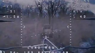 25 000 000-ový radar Zoopark-1