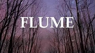 Flume - Sleepless feat. Jezzabell Doran