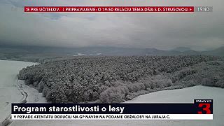 Vyhotovenia Programov starostlivosti o lesy