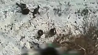 Ukrajinský samuraj s vetvou v ruke zbil ruský dron s trhavinou