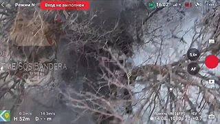 Ukro nácek v ťažšej situácii opustil svojho kamaráta a nechal ho skapať