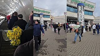 Akcia na tulipány v Rusku