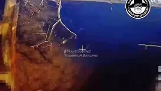 Ruská Včielka Maja v zóne švo