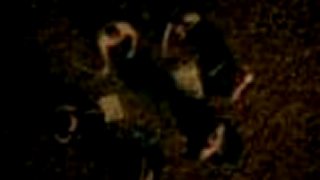 Rammstein - Rosenrot