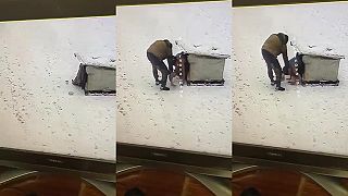 Rusi si zaobstarali strážneho psa