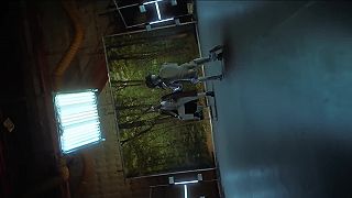 Sam Smith - How Do You Sleep? (Official Music Video)