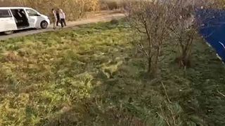 Mobilizácia Ukrajinskej ženy