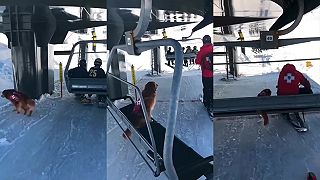 Lavínový psík je proste TOP, jazdiť na sedačkovej lanovke je pre neho rutina