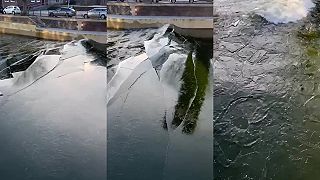 Ľady na RiF010 boli prelomené (Rotterdam)