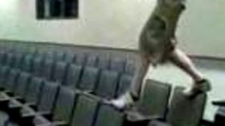 Kino