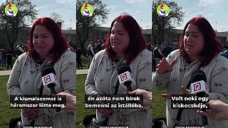 Beštiálny masaker na Žitnom ostrove