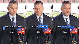 Voľba guvernéra pre NBS