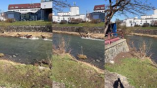 Laňky sa trošku schladili v Rajčianke