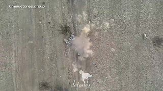 Brat za brata pokladajú vence v Toretsku #02