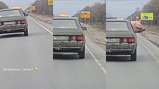 Ruská sviňa na výlete