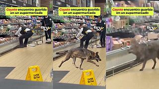 Klasika v supermarkete
