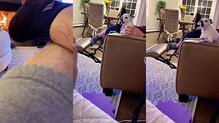 Mám doma psa, volám ho prostredník!