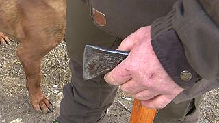 Medvedica prekvapila muža v lese. Ten jej zaťal sekerou do hlavy