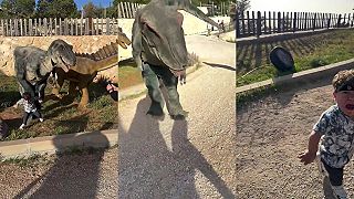 A od toho momentu sa mu snívalo iba o dinosauroch