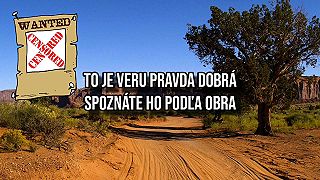 Zvrátený Ujo - Wanted