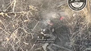 Likvidácia ukrajinských náckov v Pokrovskom smere (citlivé zábery)