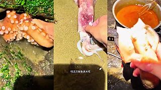 Na večeru bude chobotnica, kalamár a krab, rybky nechám tak!