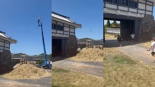 Áno, muži žijú kratšie ako ženy