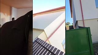 Modrý Zajačik Július Kovács priebeh zatknutia