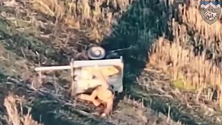 Kreativita okupanta sa cení