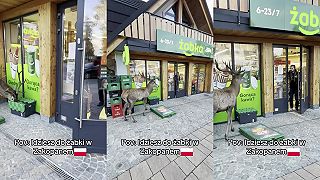 Klasika v obchodnom reťazci