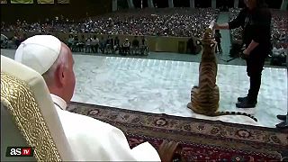 Nenahraditeľný Náš World Pope of peoples František,Francis Bergoglio 1936 2025