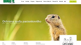 Združenie BROZ a jeho korupcia. Syseľ. 5,5 milióna eur na jeden kilometer štvorc