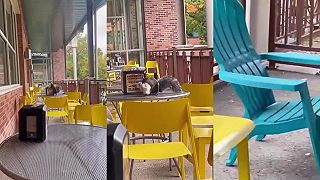 Veverička objavila skvelý materiál na výstelku hniezda