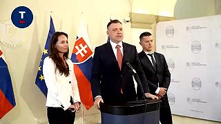 Dohodári skúmali či už kvitnú čerešne a snežienky