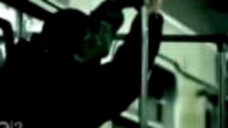 Lighthouse Family - Free/One (2001)