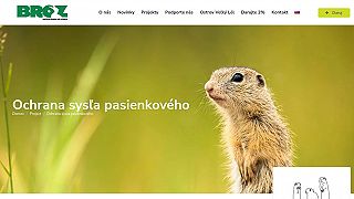 Združenie BROZ a jeho korupcia. Syseľ. 5,5 milióna eur. Časť 2
