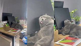 V pondelok ráno v škole