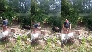 Rus proti medveďovi vytiahol sekeru, ten si to radšej rozmyslel